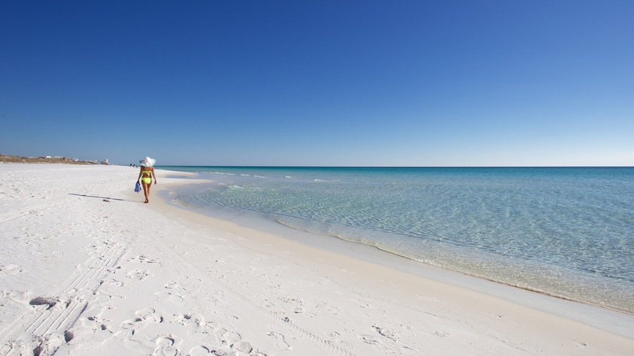 Grayton Beach State Park featuring general coastal views and a beach as well as an individual femail