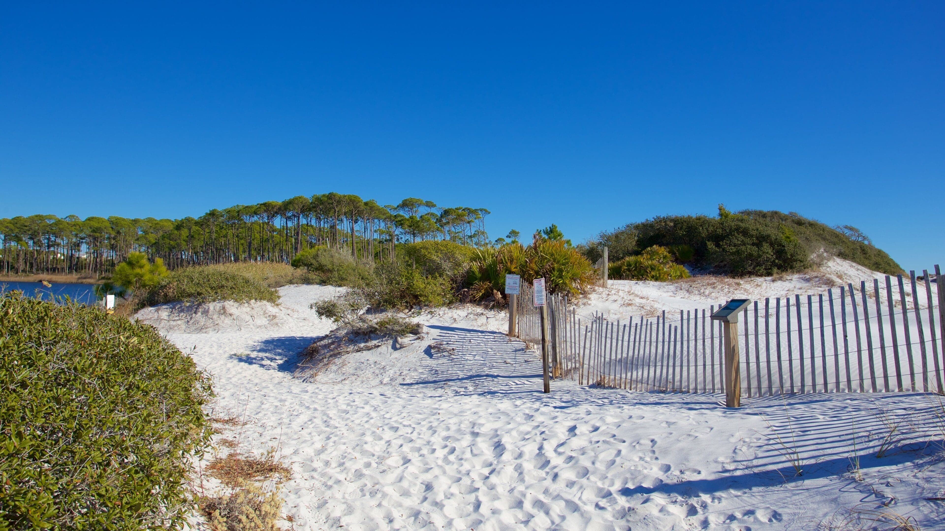 A sandy beach with a wooden fence, a clear blue sky, and a forest in the background.