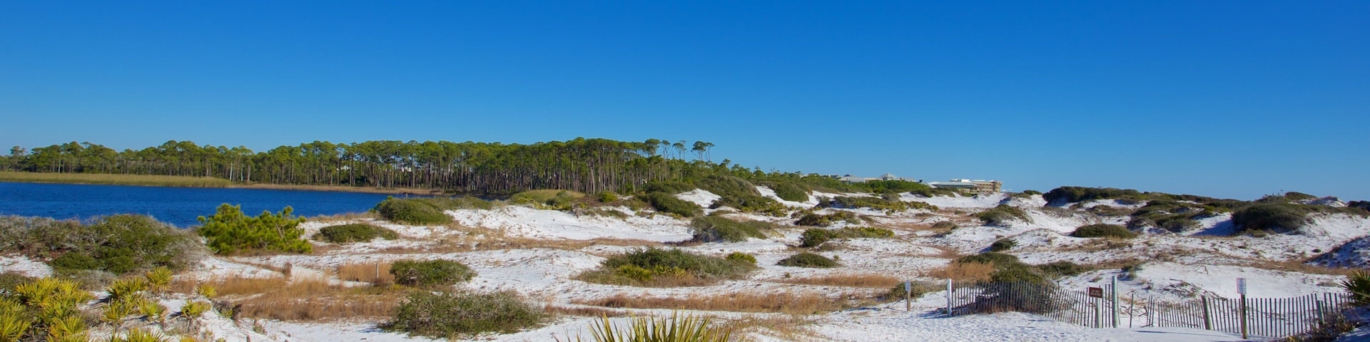 Grayton Beach State Park showing a beach