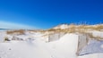 Grayton Beach State Park showing a sandy beach