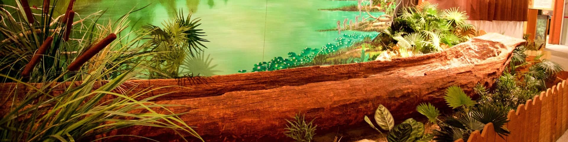 Indian Temple Mound Museum