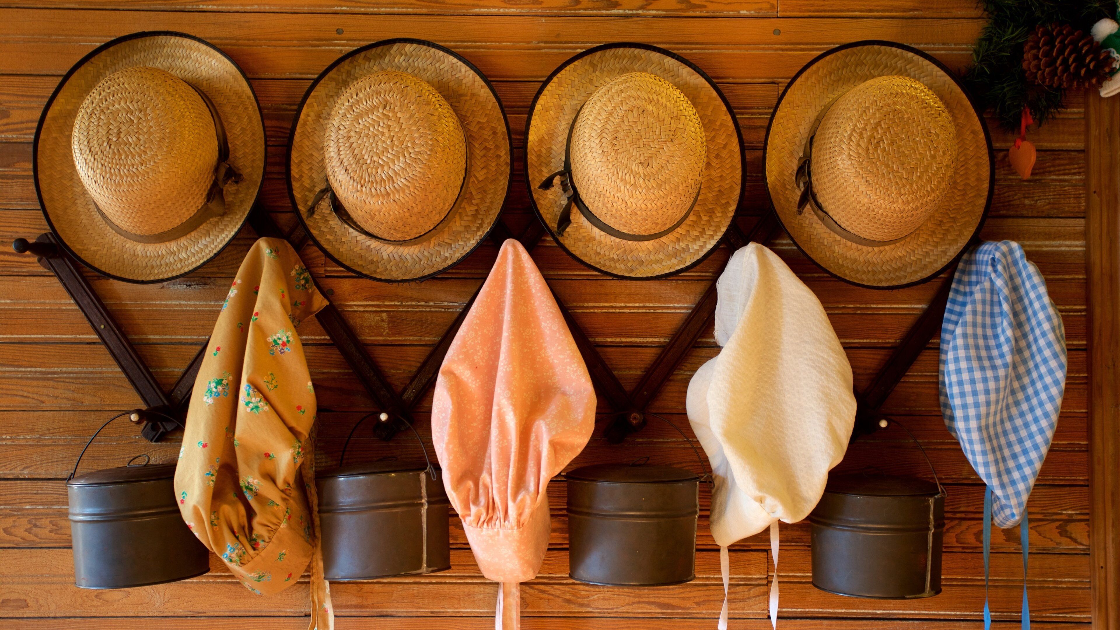 Indian Temple Mound Museum which includes heritage elements