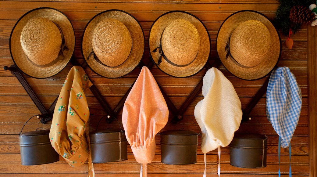 Indian Temple Mound Museum showing heritage elements