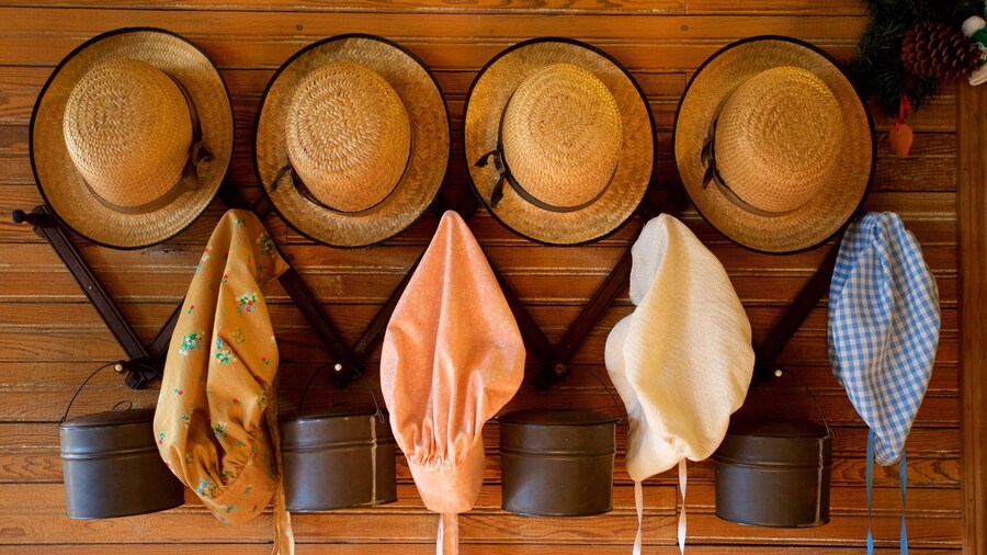 Indian Temple Mound Museum which includes heritage elements