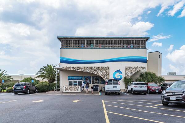 Fort Walton Beach_Gulfarium Marine Adventure Park_6065723_02 copy