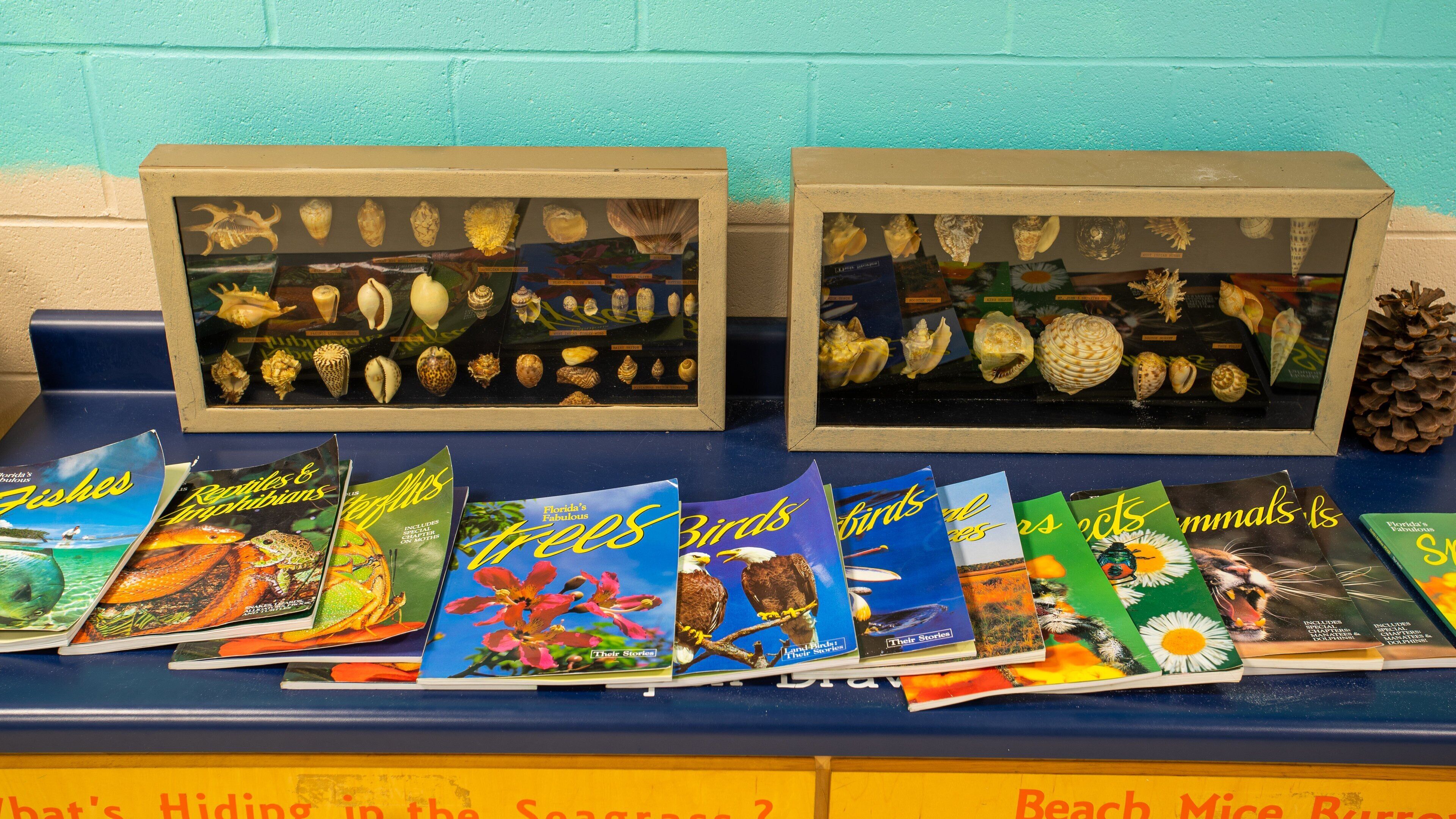 Emerald Coast Science Center