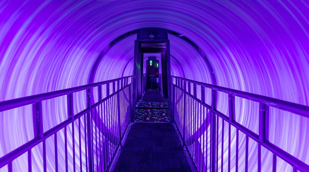 Ripley\'s Believe It or Not featuring interior views