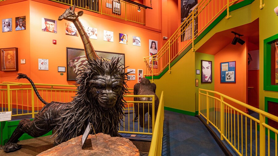 Ripley\'s Believe It or Not which includes interior views