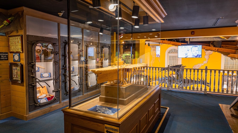 Ripley\'s Believe It or Not showing interior views