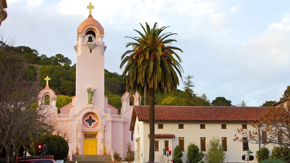 A church with a bell tower and a palm tree.