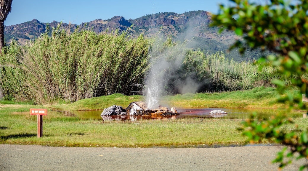 卡利斯托加温泉
