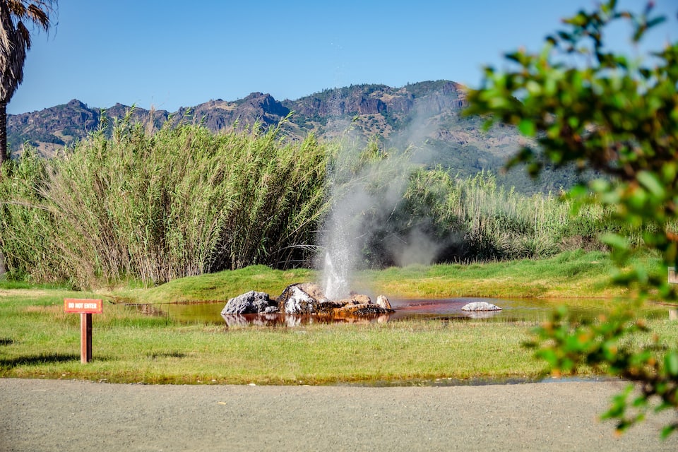 A geyser with steam rising, surrounded by greenery and a 'DO NOT ENTER' sign.