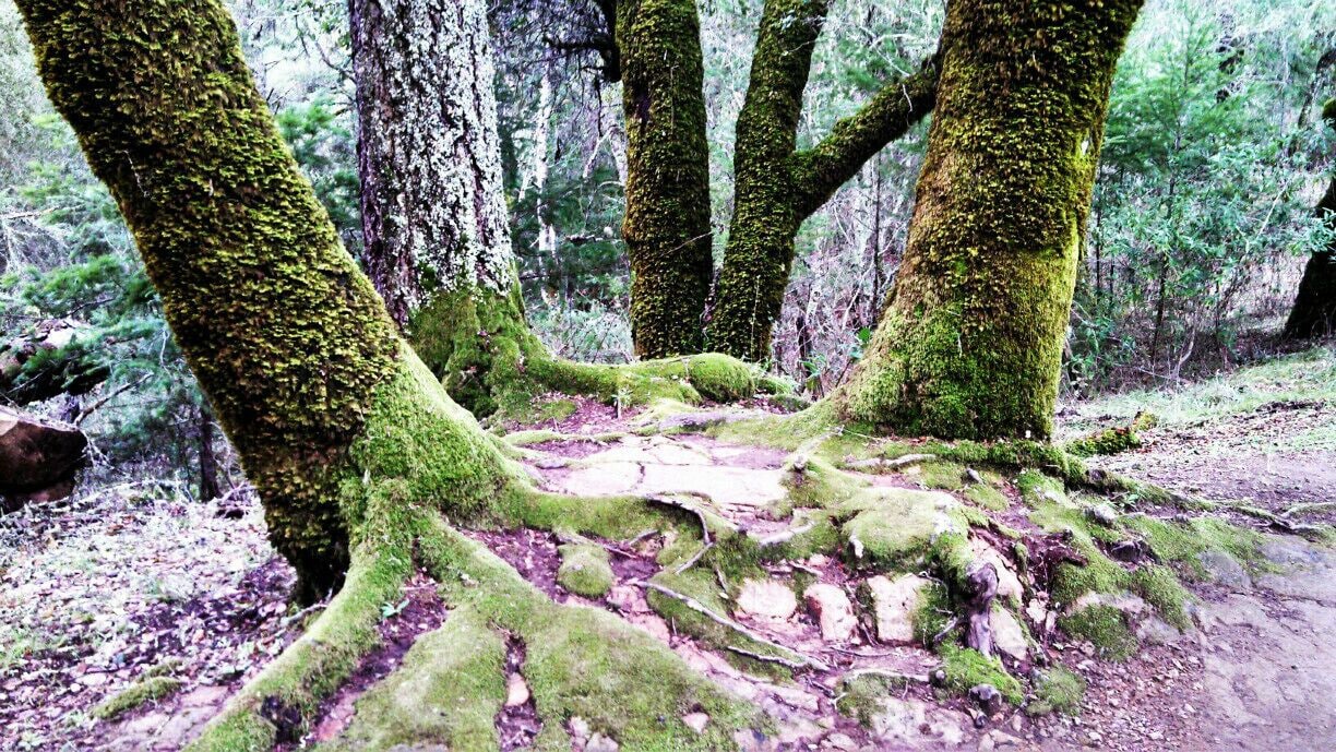 Great place to take pictures and very peaceful.