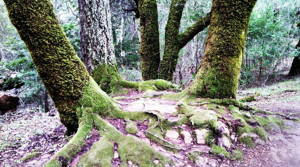 Great place to take pictures and very peaceful.