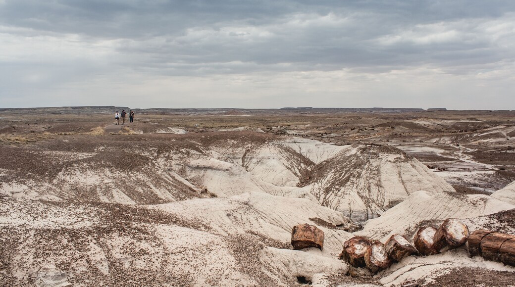 Hiking at Petrified Forest National Park, Arizona