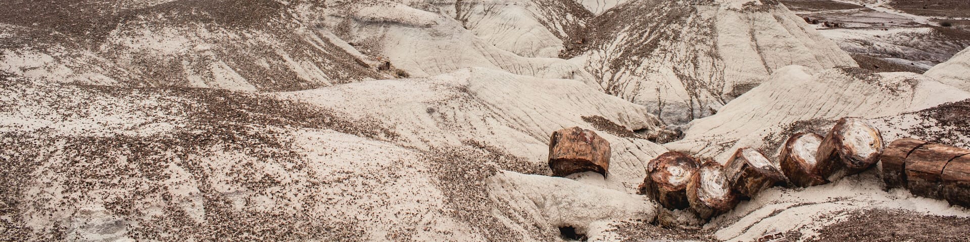 Hiking at Petrified Forest National Park, Arizona