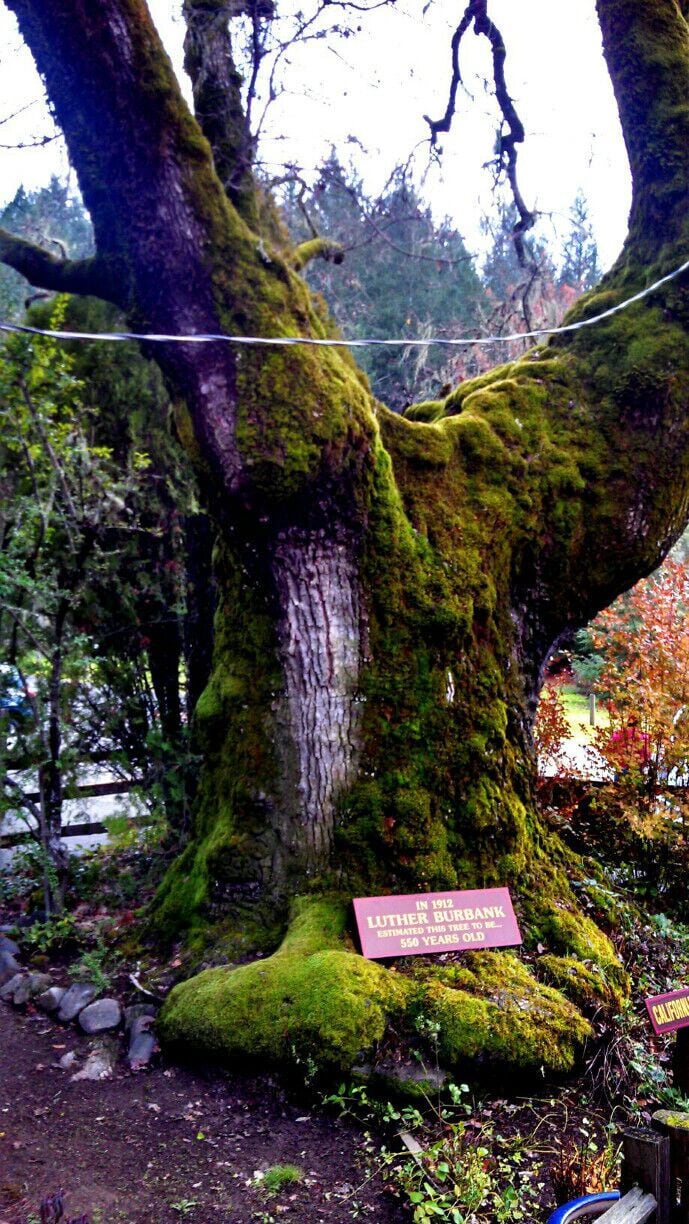 Great place to take pictures and very peaceful.