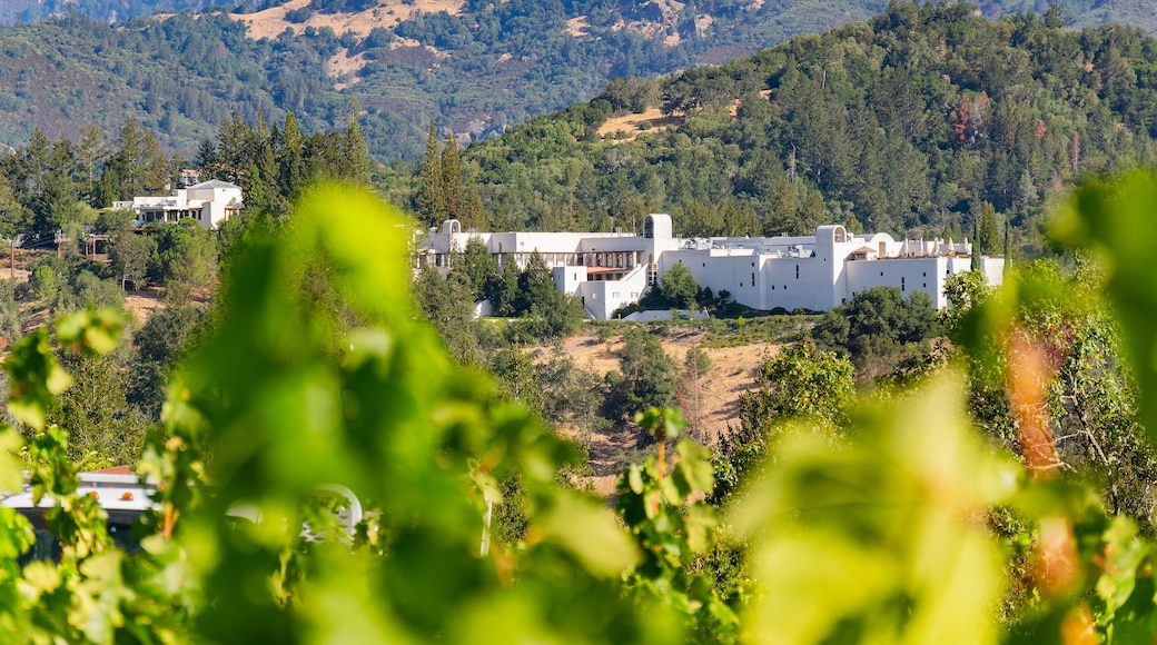 斯特灵葡萄园酒厂