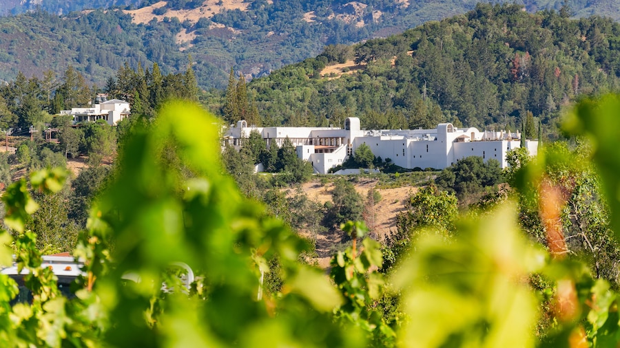 ไร่องุ่นสเตอร์ลิง