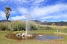 The Old Faithful Geyser of California begins it's long eruption in Napa Valley