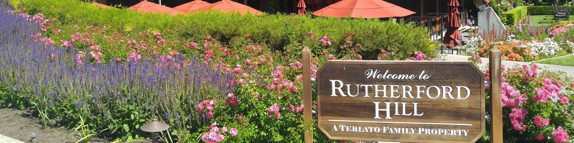 So many flowers and colors! It will make you wish you could stay here forever. There is a picnic area across the wine tasting room which is beautiful to spend some time. 🌿🍃🌼🌾🐝