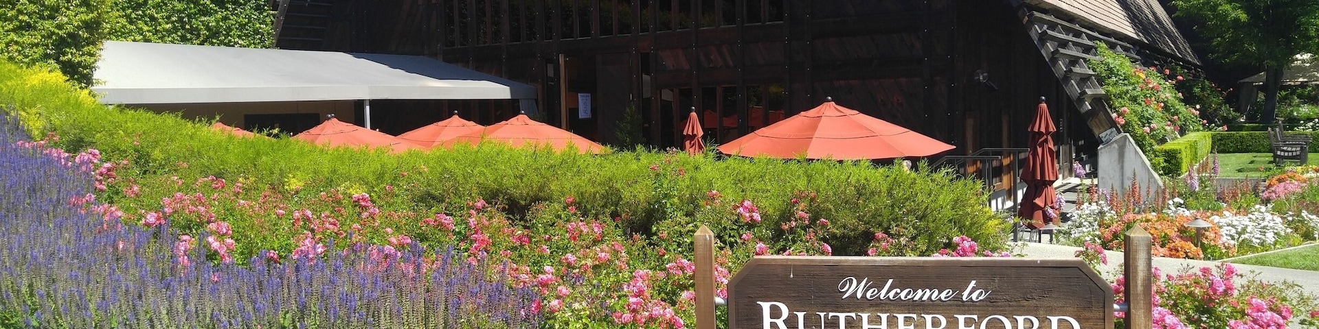 So many flowers and colors! It will make you wish you could stay here forever. There is a picnic area across the wine tasting room which is beautiful to spend some time. 🌿🍃🌼🌾🐝