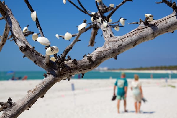 Delnor-Wiggins Pass State Park featuring a beach as well as a couple