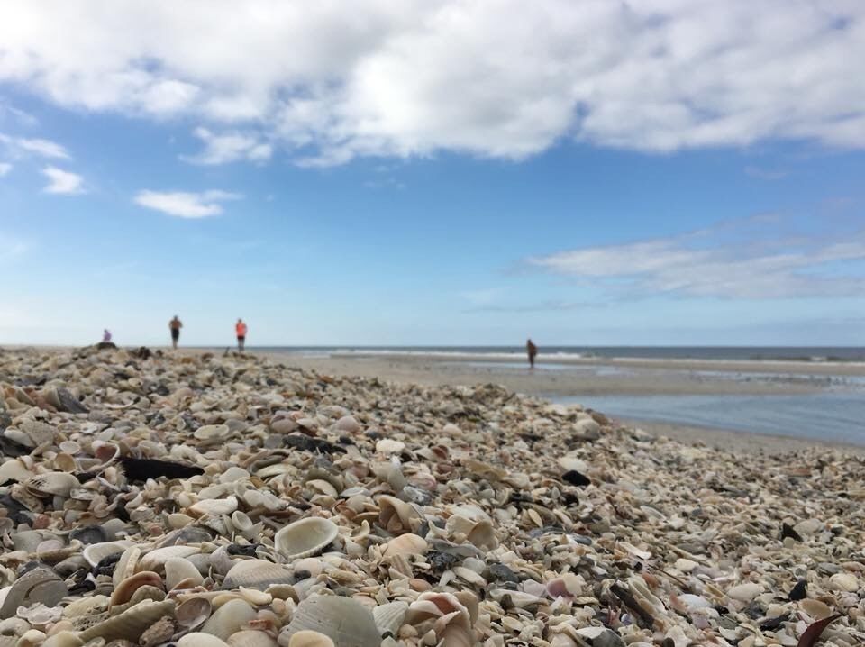 shells galore along this Naples beach park. 
$6 per vehicle - there is a vendor located in one of the parking lots selling water, snacks and some beach accessories in case you forget to bring something...
https://www.floridastateparks.org/parks-and-trails/delnor-wiggins-pass-state-park