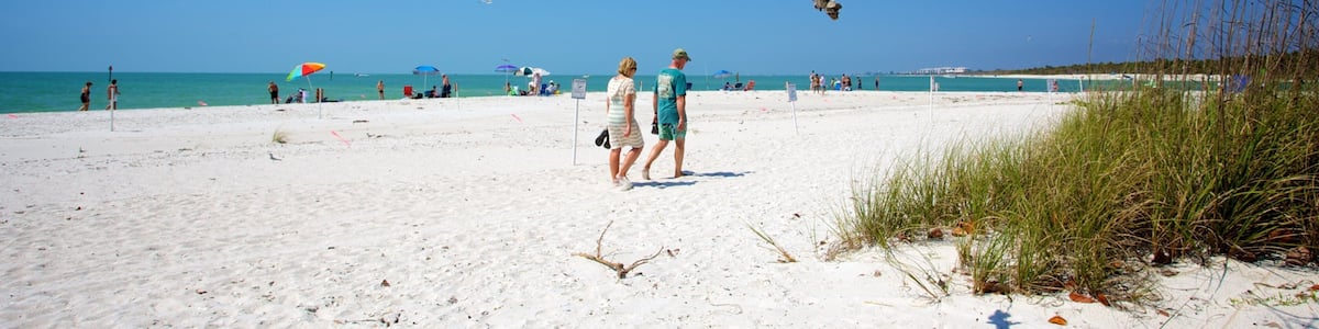 Delnor-Wiggins Pass State Park showing a sandy beach as well as a couple