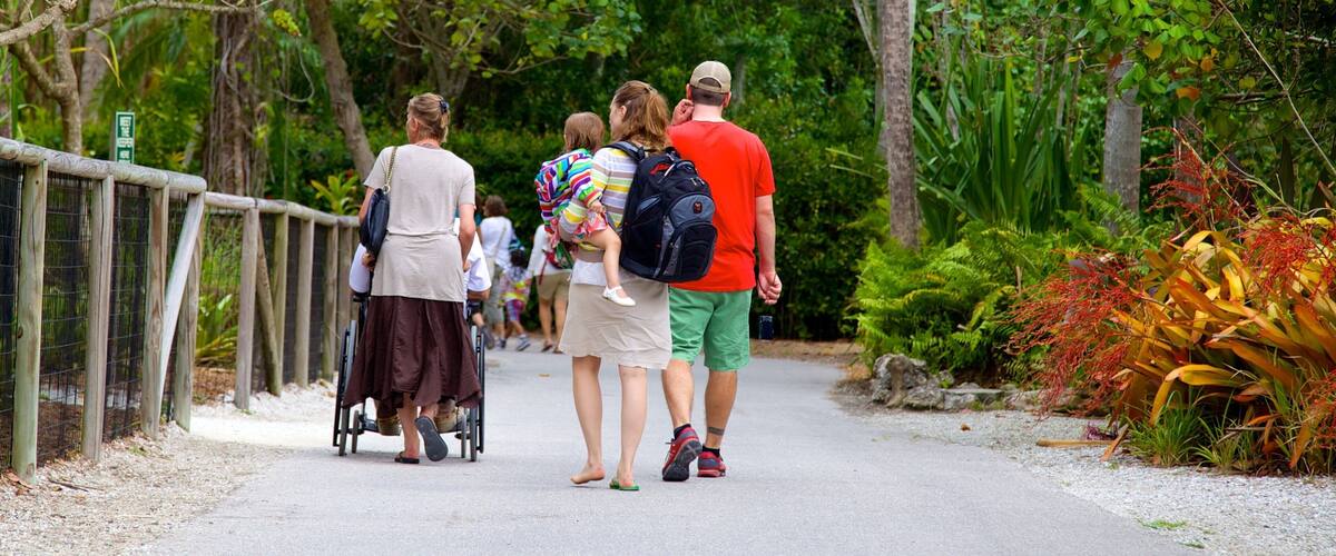 A family walking on a paved path surrounded by lush greenery and trees.