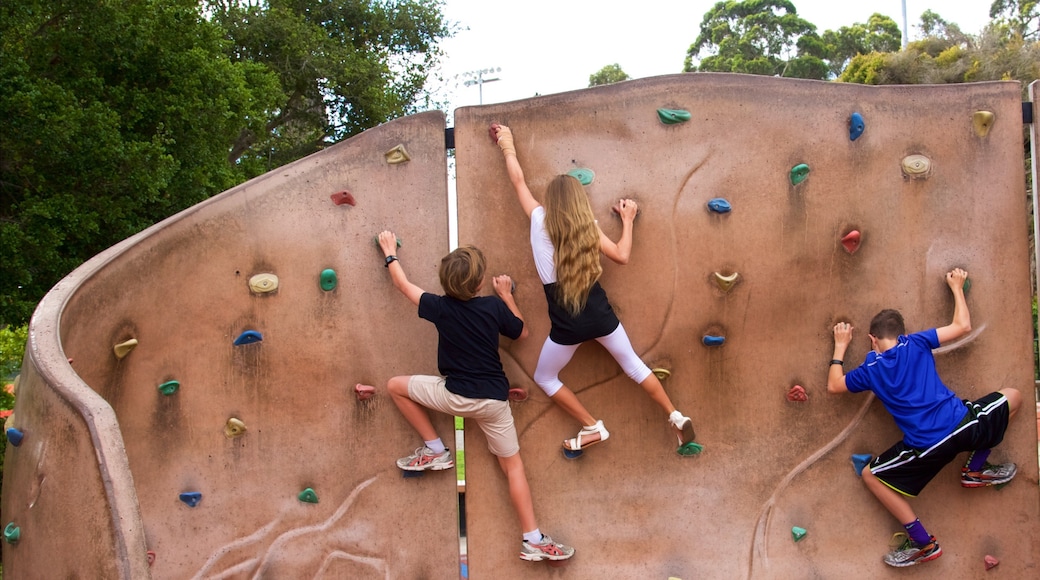 Dennis the Menace Park showing a playground as well as children