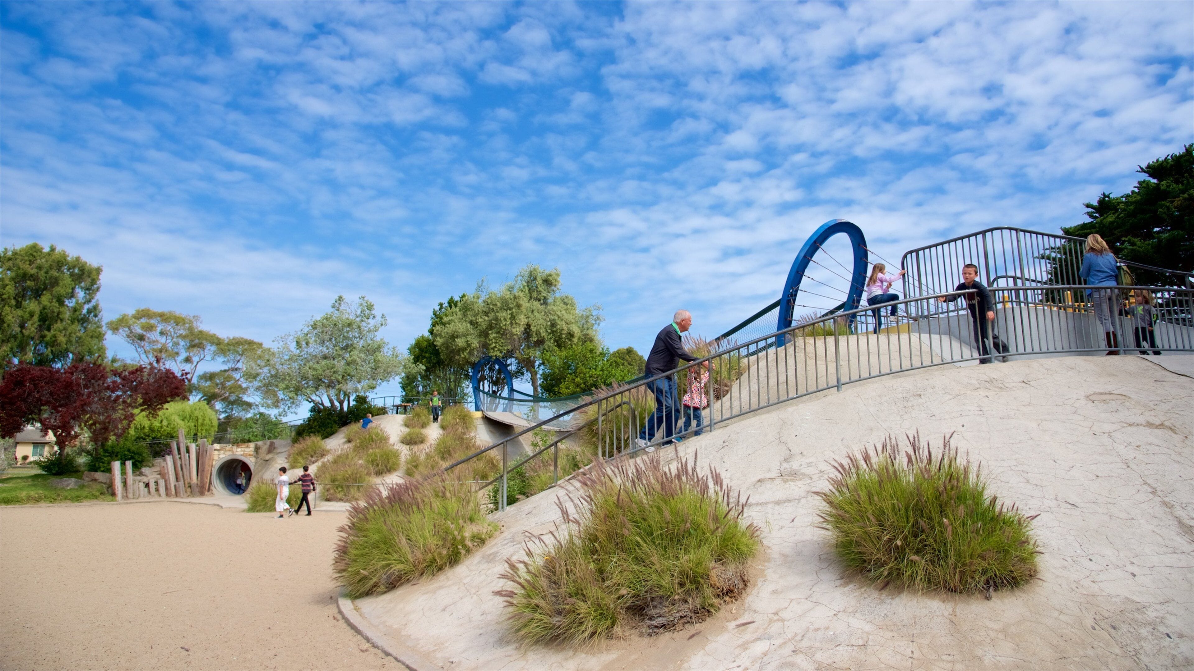 Dennis the Menace Park mettant en vedette jardin et aire de jeu aussi bien que enfants