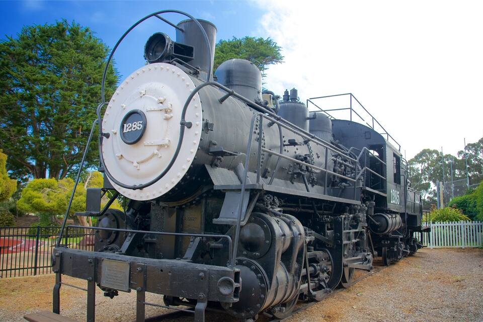 Una locomotora de vapor amb el número 1285, aparcada a l'aire lliure, amb arbres i una tanca al fons.