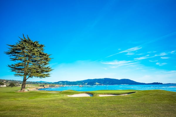 A golf course with a large tree, sand bunkers, and a view of the ocean and mountains in the background.