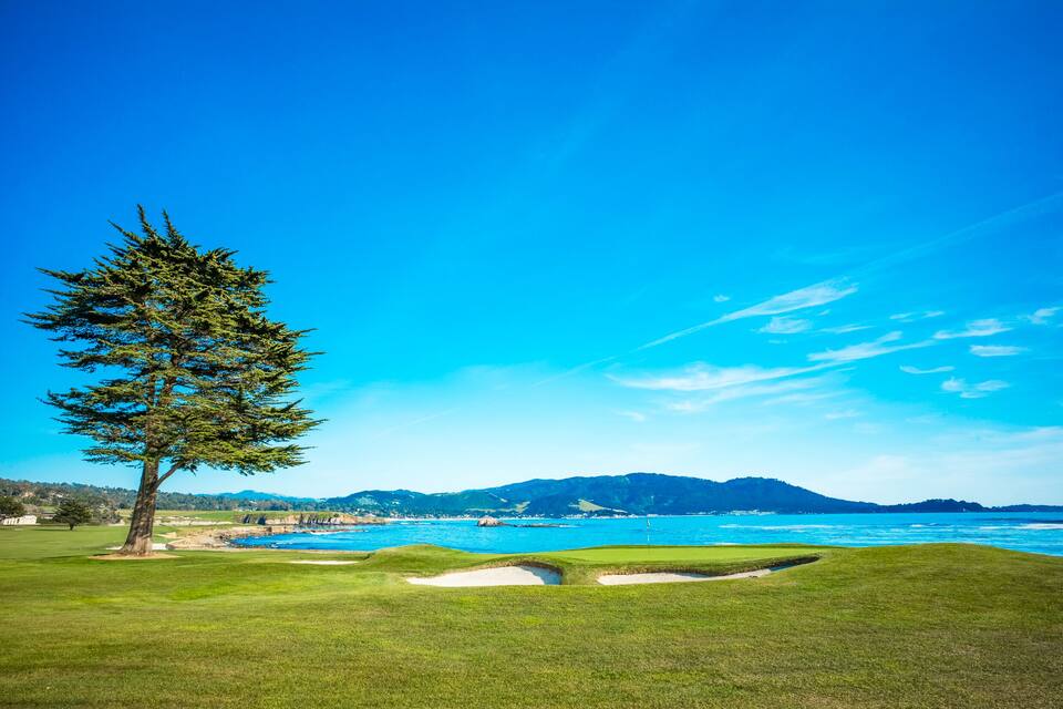 A golf course with a large tree, sand bunkers, and a view of the ocean and mountains in the background.
