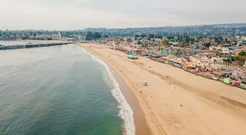 Aerial view of the Santa Cruz beach and the amusement park in California