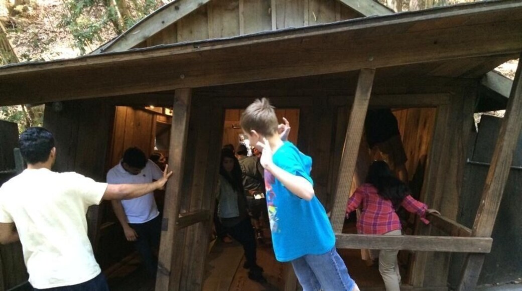 So fun!! Great for family, but make reservations! If you don't, the wait is long.