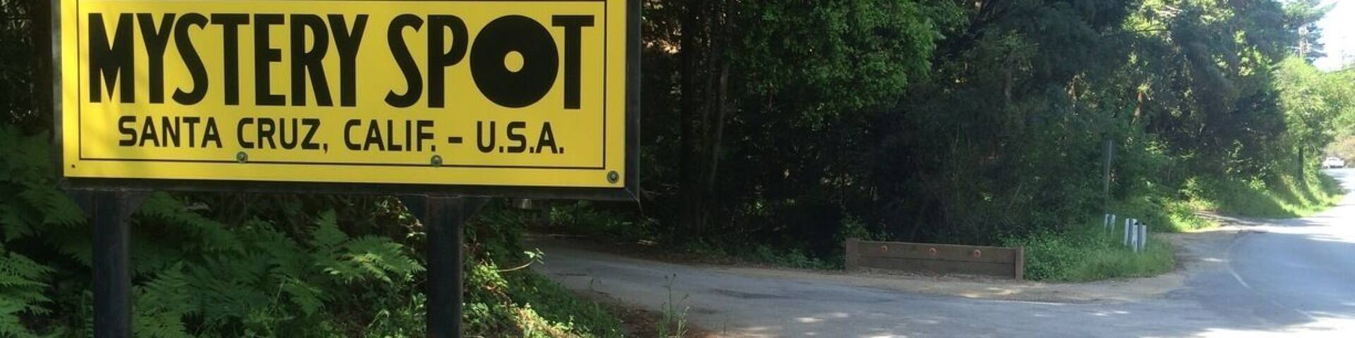 The place where you can't stay straight.