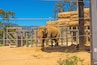 An elephant in a zoo enclosure with a rocky background and mountains in the distance.