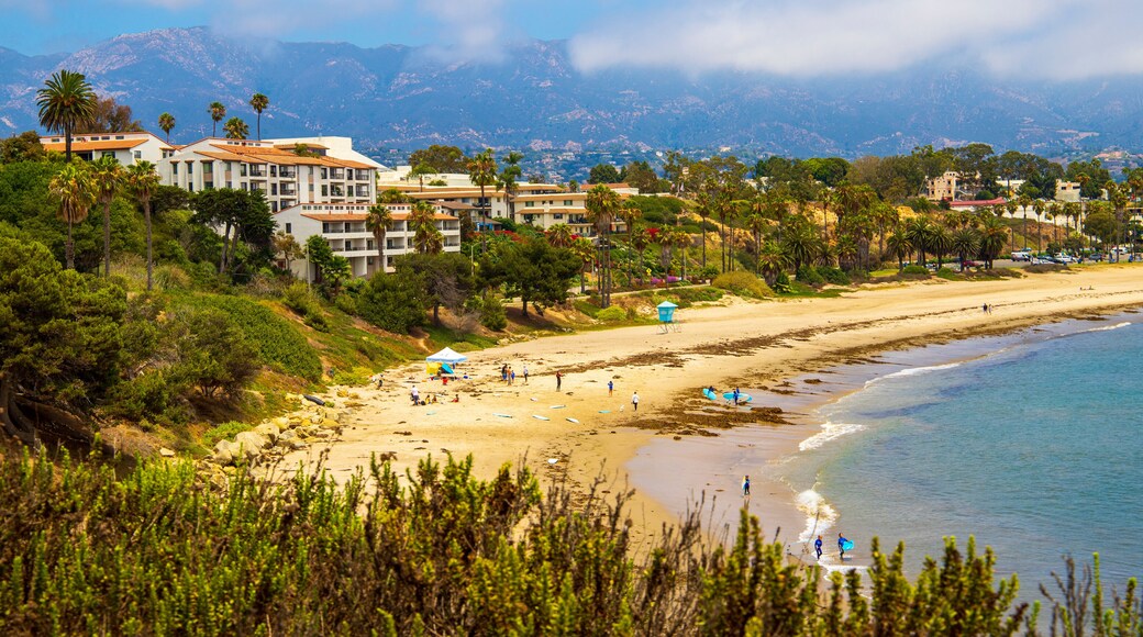 a gorgeous summer day at the beach with people relaxing in the silky brown sand and blue ocean water and lush green palm trees, grass and plants with blue sky and cloud at Leadbetter Beach