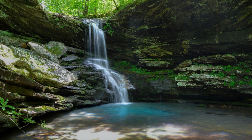 Magnolia Falls in Arkansas