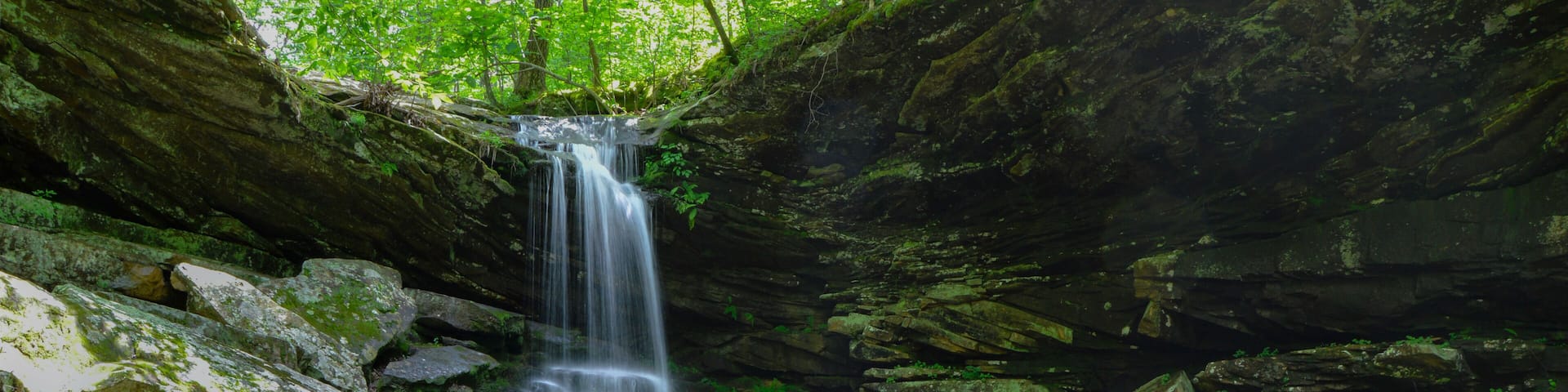A waterfall cascading into a clear pool surrounded by moss-covered rocks and lush greenery.