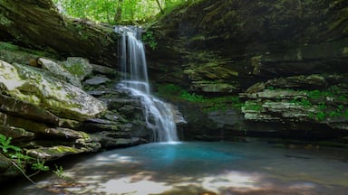 Une cascade se jetant dans un bassin aux eaux limpides, entourĂ© de rochers couverts de mousse et dâune vĂ©gĂ©tation luxuriante.