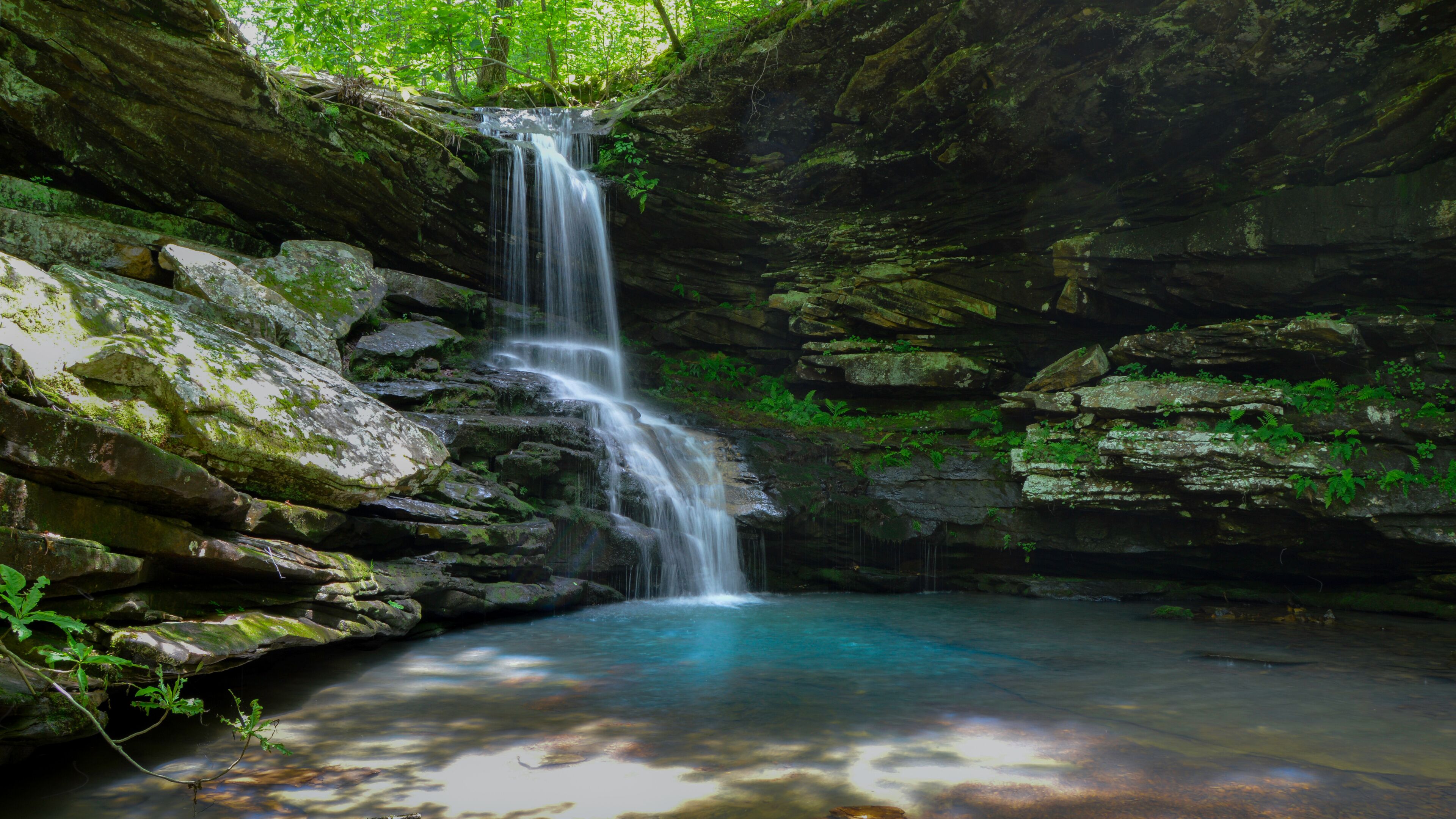 A waterfall cascading into a clear pool surrounded by moss-covered rocks and lush greenery.