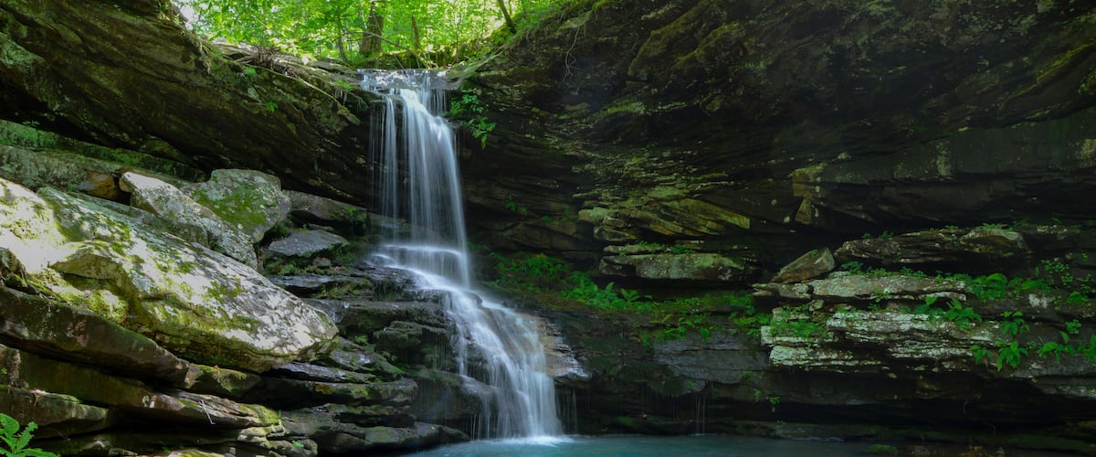 A waterfall cascading into a clear pool surrounded by moss-covered rocks and lush greenery.