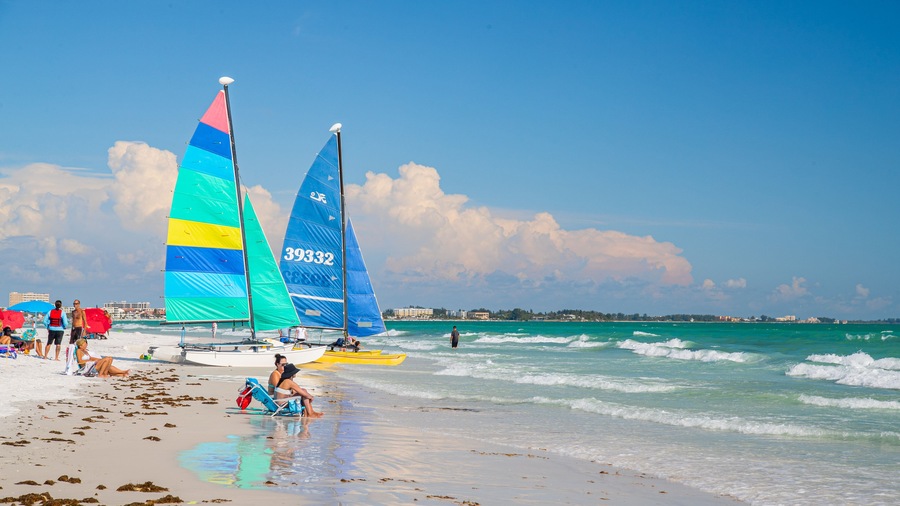 Siesta Key Beach showing general coastal views and a beach