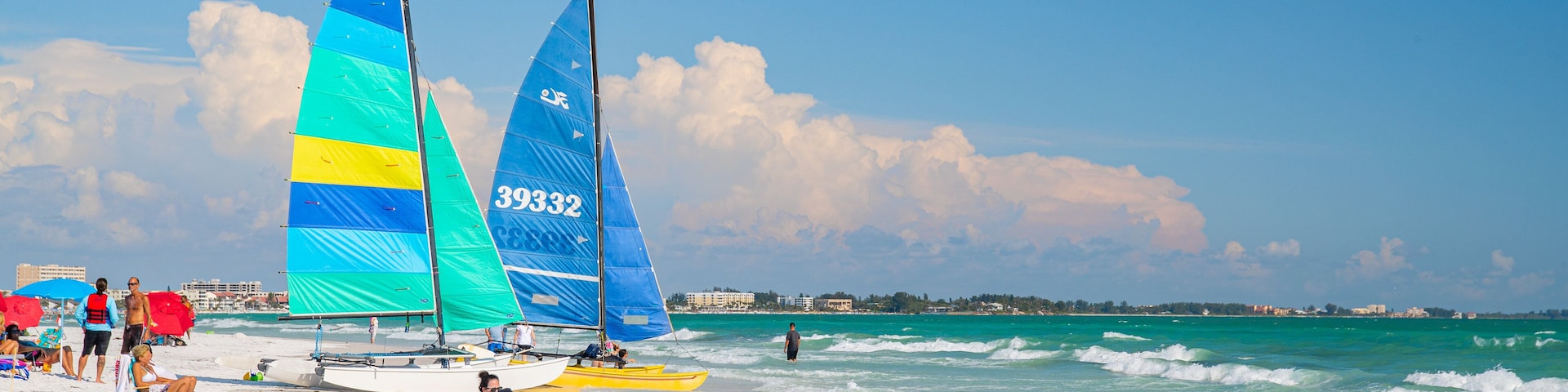 Siesta Key Beach showing general coastal views and a beach