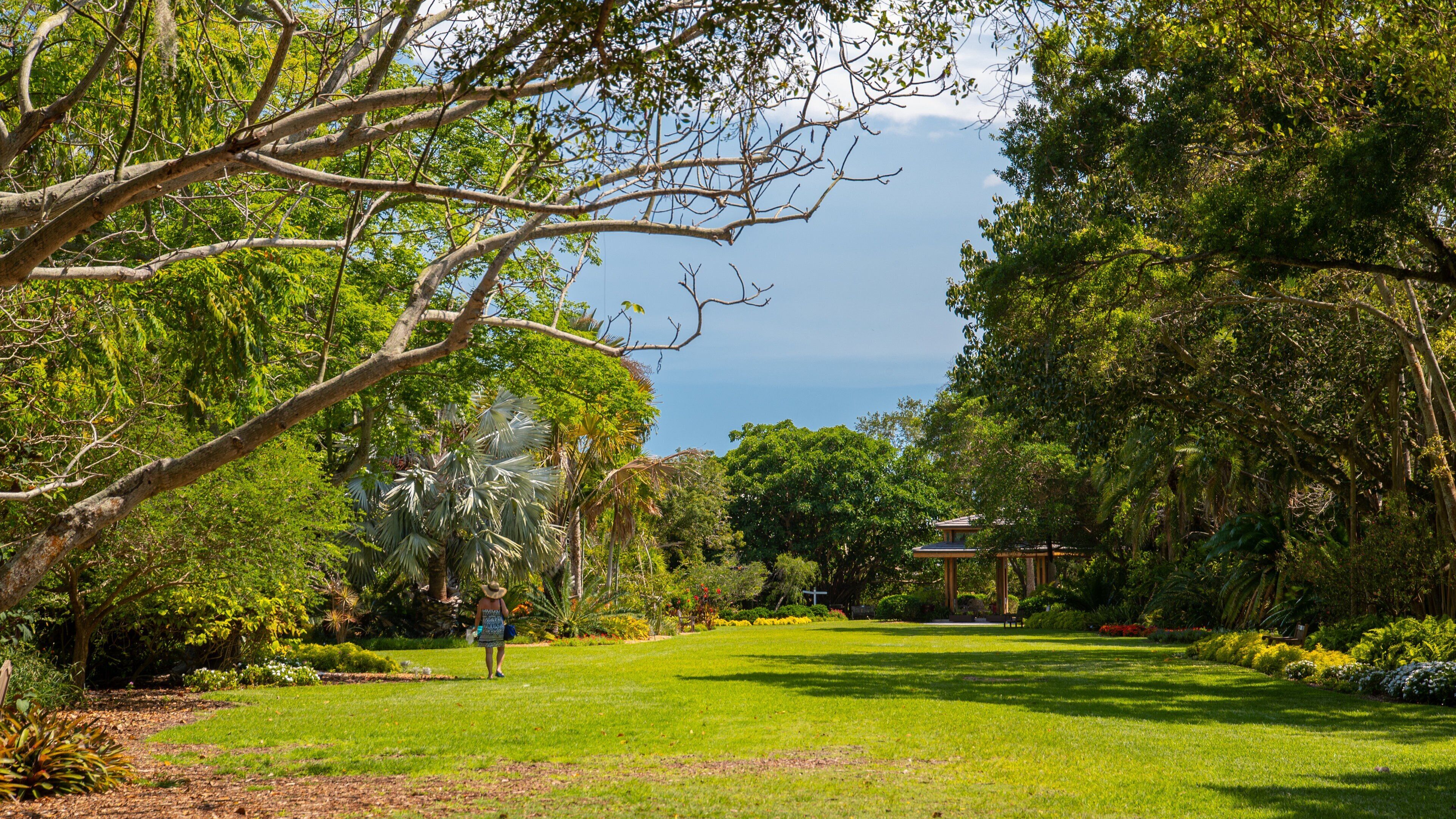 Marie Selby Botanical Gardens featuring a park