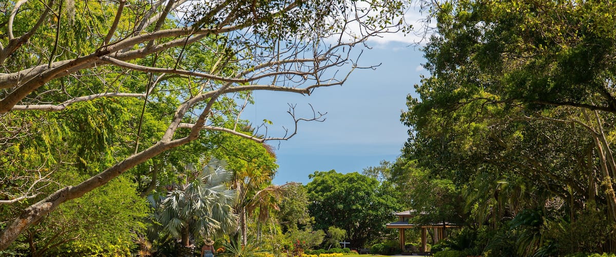 Marie Selby Botanical Gardens featuring a park