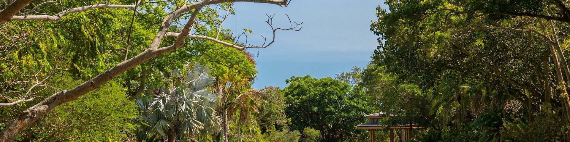 Marie Selby Botanical Gardens featuring a park